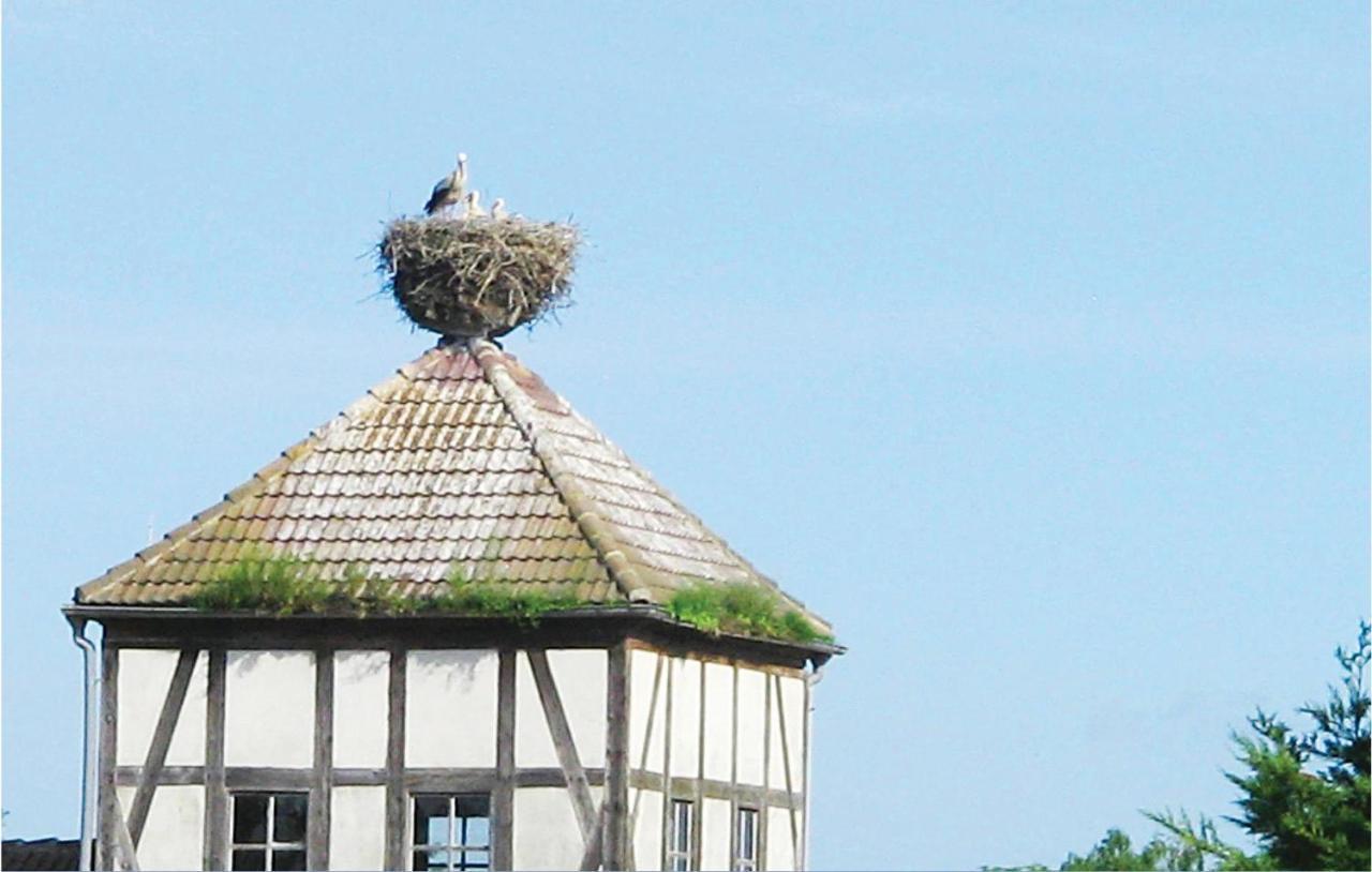 Herrenhaus Luebbenow Dış mekan fotoğraf